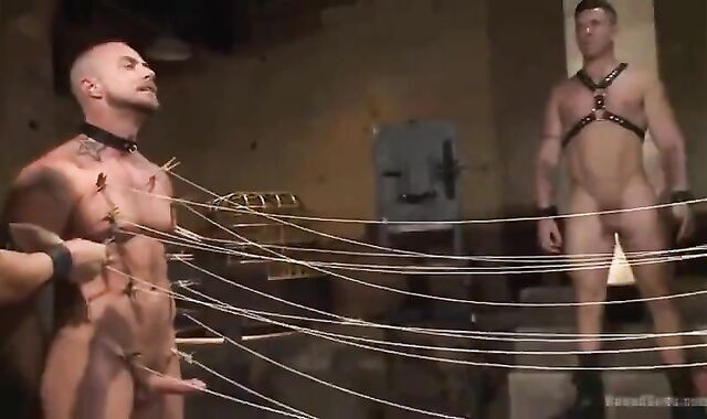 Leather masculines fun - ?