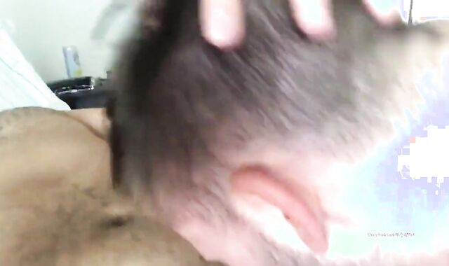 Motel Orgy betwixt Father & nubile