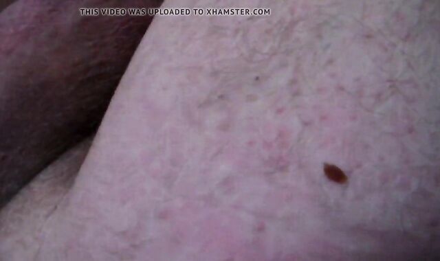 I Will slurp Your insatiable wazoo daily