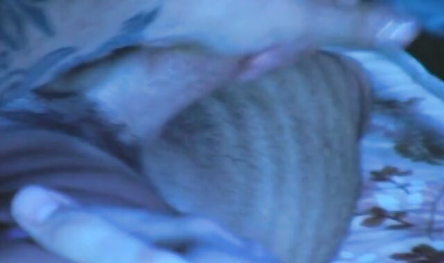 vid 002 - fag PORNOGRAPHY!