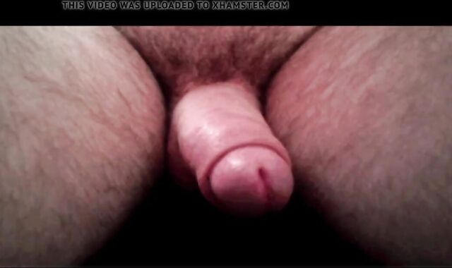 pulsating Otters Compilation