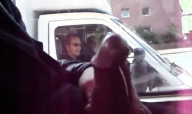 pulsating Otters Compilation