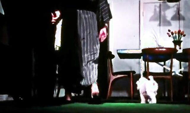 The Twisted Arrangement (1973) Part trio