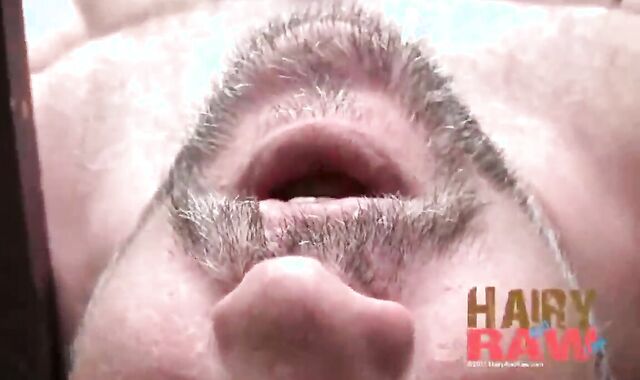 Will Gulps And Lobo Al