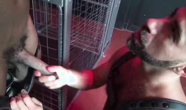 Sweeter Than Trick-or-Handle!