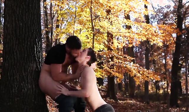 Teddy chap tear up A youngster In Public