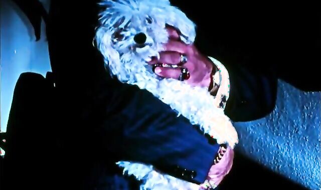 From granddad's Closet: The Twisted Arrangement (1973)