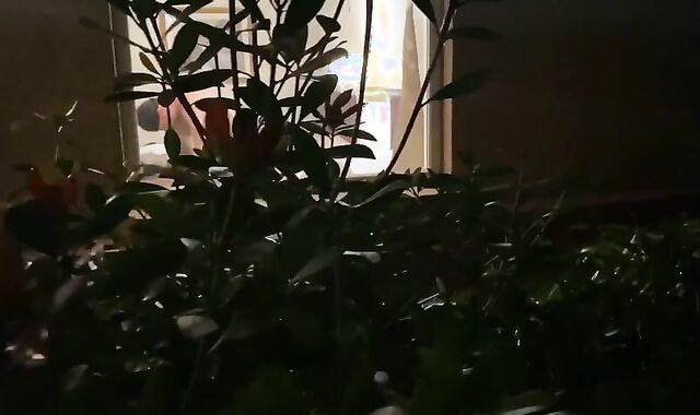 Marco Paris And  Robbie Dash