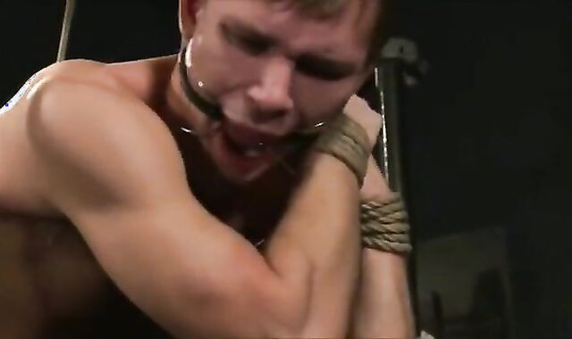 corded Me Satiate Then penetrate Me