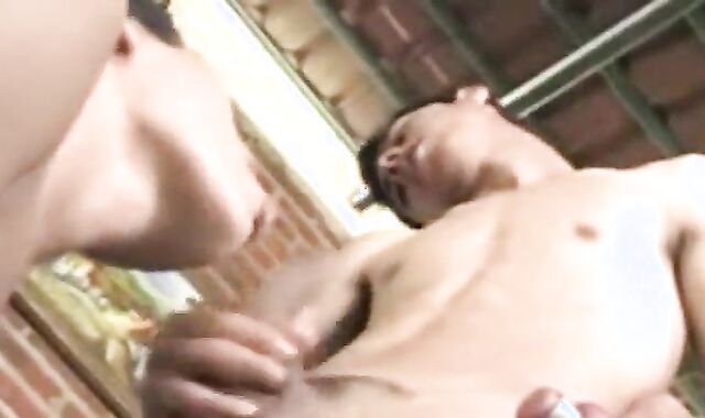 Brazilian Series Total flick