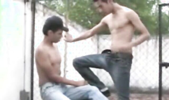 Brazilian Series Total flick