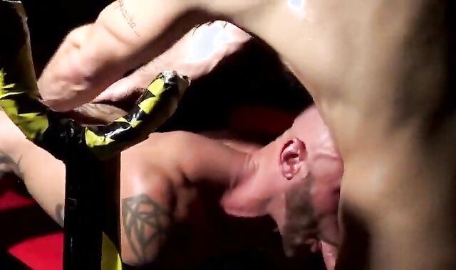 2 Grizzlies Behind The Soiree Firm