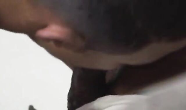 Tres Garotos BrasileÃ±os Follando A Pelo