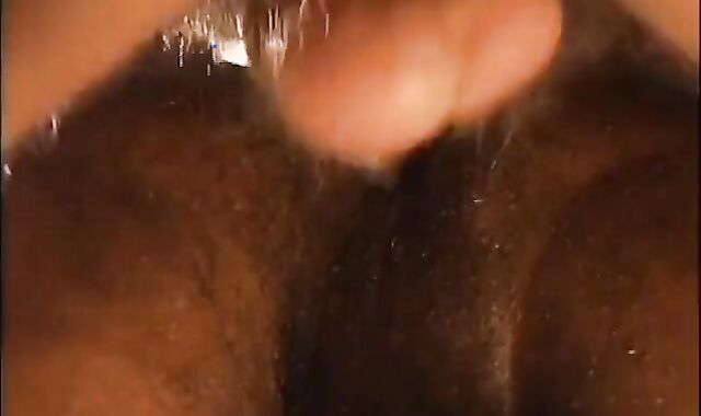 vid 316