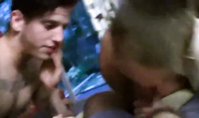 Mishka Vox's unprotected gang