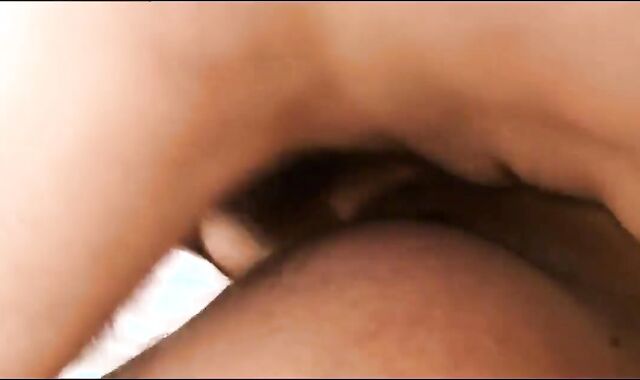 HC Breeds AP unprotected With Internal Cumshot