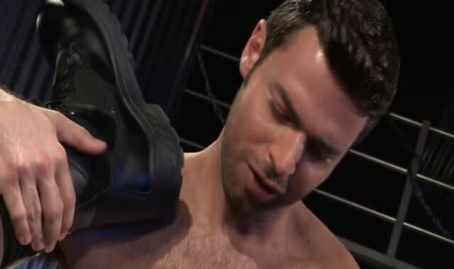 TT And DB - fantastic donk Have Fun