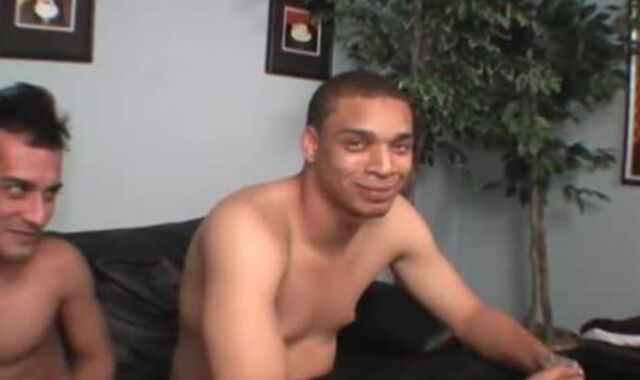 fledgling guy Tastes dark-hued shlong