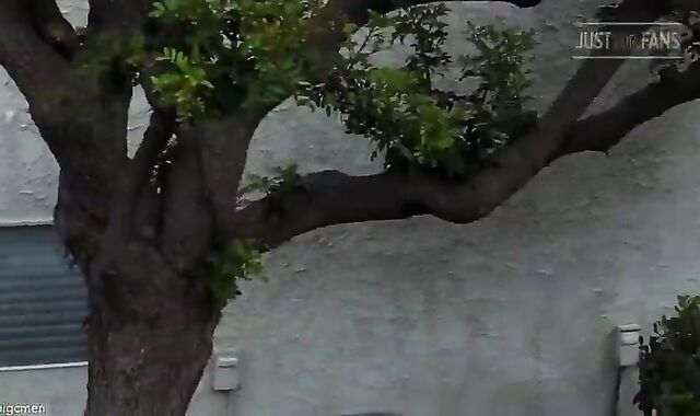 Barefuck In The Backyard