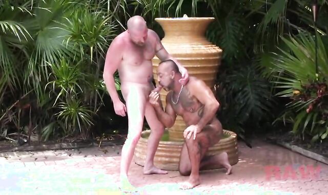 Bo Bangor And Dalton Hawg