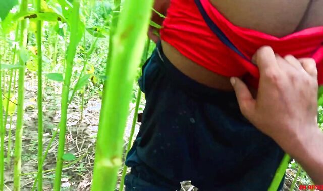 পাট ক্ষেত - A noon time with killer healthy homosexual bottom | zm official