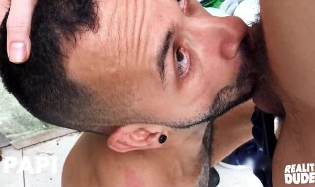 Papi - Milo Takes A Break From Work And Bj's Pablo X And Their Boss' Smash-Stick At The Same Time