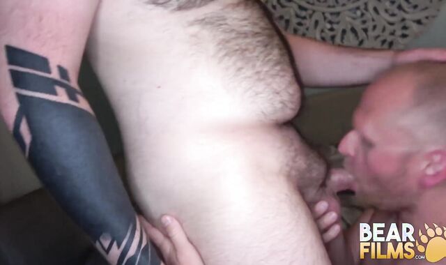 BEARFILMS Furry Boys Riley August And Daniel Thomas No Rubber