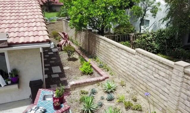 Ginormous C & Zane Taylor Roll Part 1