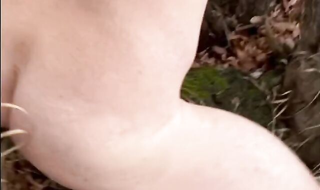 Plumbing a mossy tree