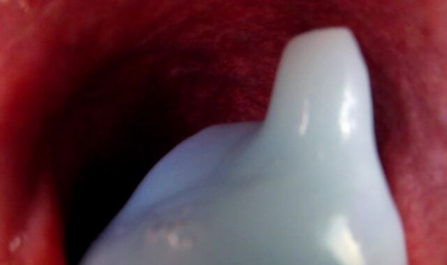 Internal View Ginormous Bad Dragon Rex Pummels And Shoots A Explosion In My Booty 2 Times