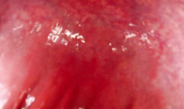 Internal View Ginormous Bad Dragon Rex Pummels And Shoots A Explosion In My Booty 2 Times