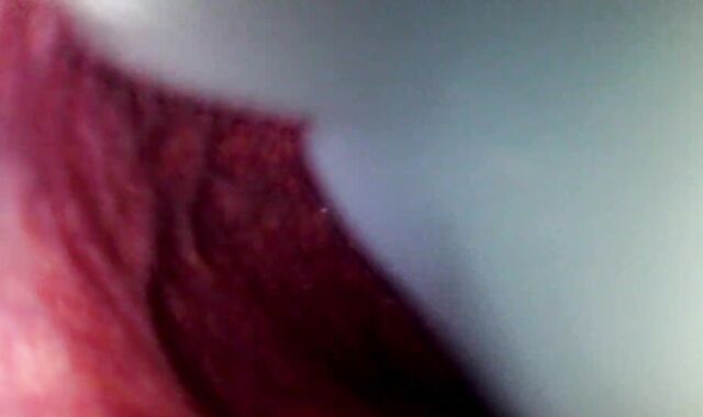 Internal View Ginormous Bad Dragon Rex Pummels And Shoots A Explosion In My Booty 2 Times