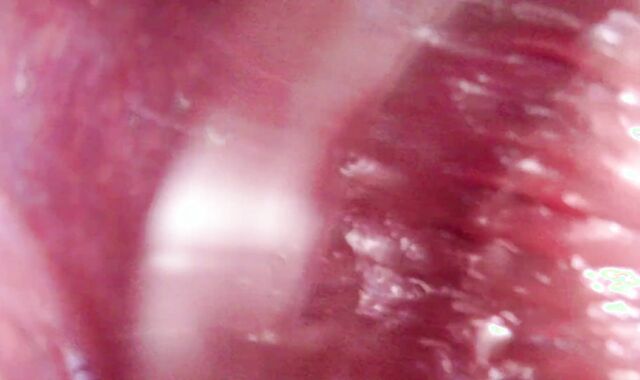 Internal View Ginormous Bad Dragon Rex Pummels And Shoots A Explosion In My Booty 2 Times