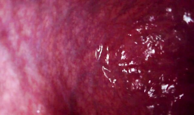 Internal View Ginormous Bad Dragon Rex Pummels And Shoots A Explosion In My Booty 2 Times