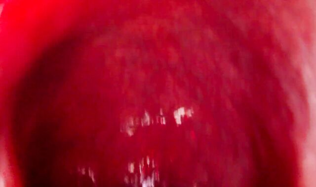 Internal View Ginormous Bad Dragon Rex Pummels And Shoots A Explosion In My Booty 2 Times