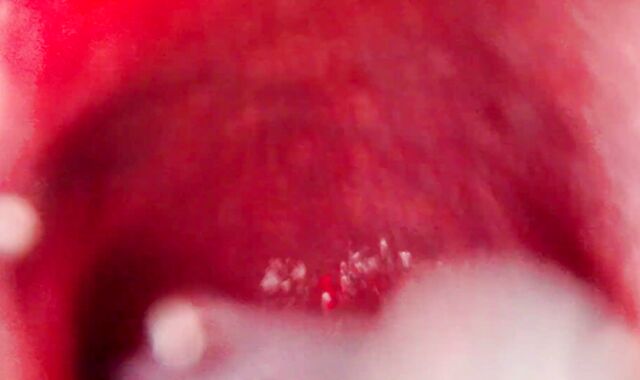 Internal View Ginormous Bad Dragon Rex Pummels And Shoots A Explosion In My Booty 2 Times