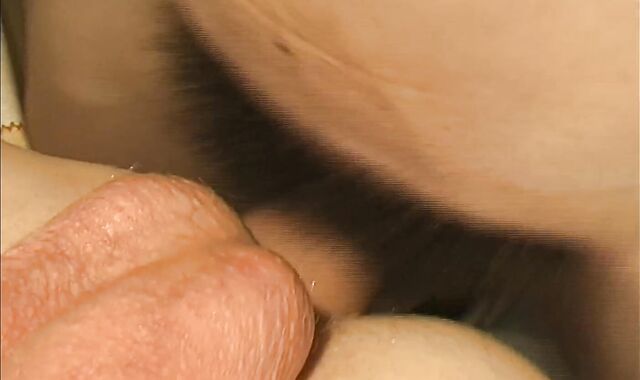 smallish young masculines Have slew of sheer gusto In oral job enjoyment vibration And pink butthole job And boy chowder humongous Time