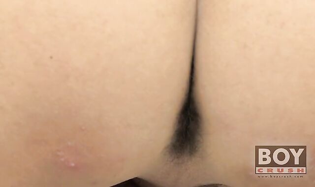 Patrick acquires Some Punk In Him