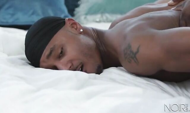 vehement BLK MUSCLE guys