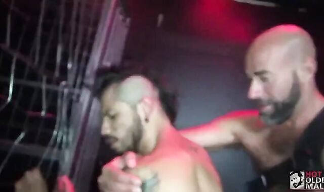 Real studs Vol. 41 - Cocked N' Loaded