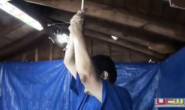 homo World A-wrestling-ball-sac-bash-specie-test-for-johnny