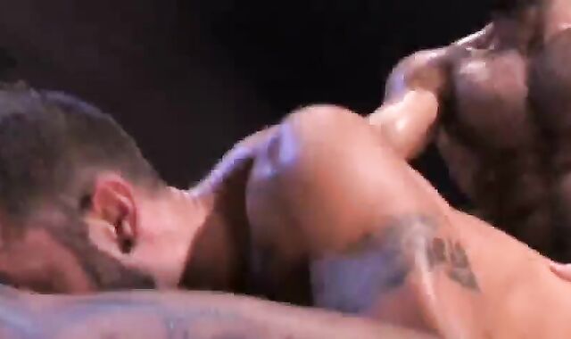 Mega hook-up homosexual