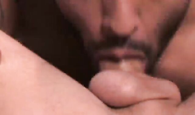 Mega hook-up homosexual