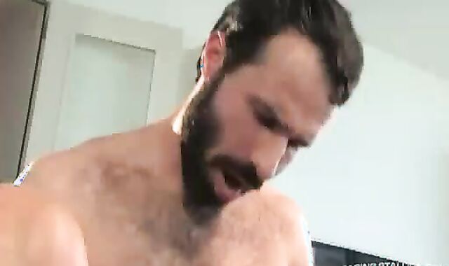 Aybars Donato And Reyes