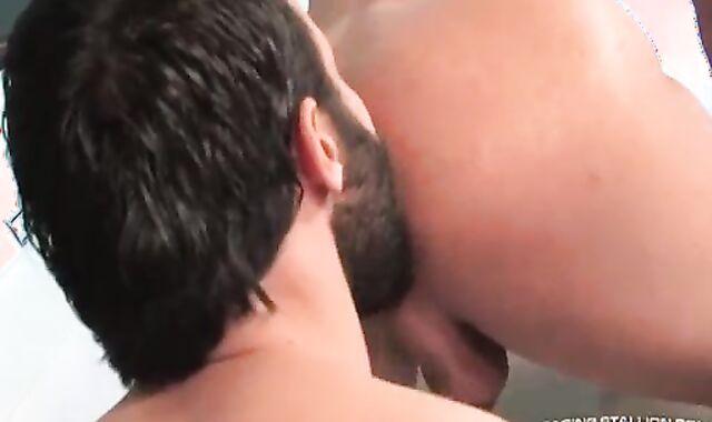 Aybars Donato And Reyes