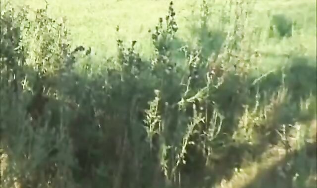 Ride Em raunchy - Sequence three - Pacific Sun Entertainment