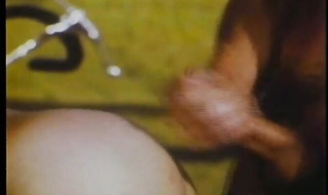 Vintage Barn fucky-fucky Bb