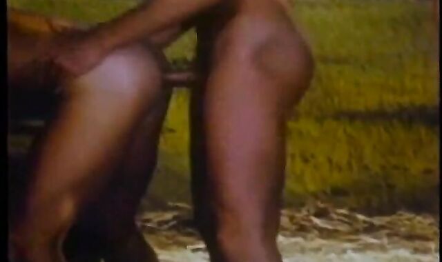 Vintage Barn fucky-fucky Bb