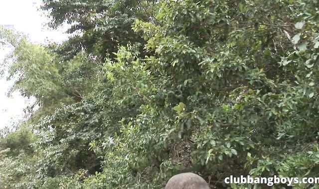 ClubBangBoys: Brazilian fledgling loves pulverizing