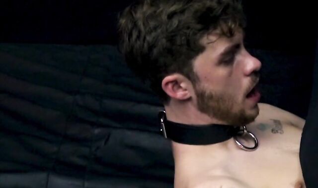 RawFuckBoys - Penis-Squashing amateur Scott agrees to breeding